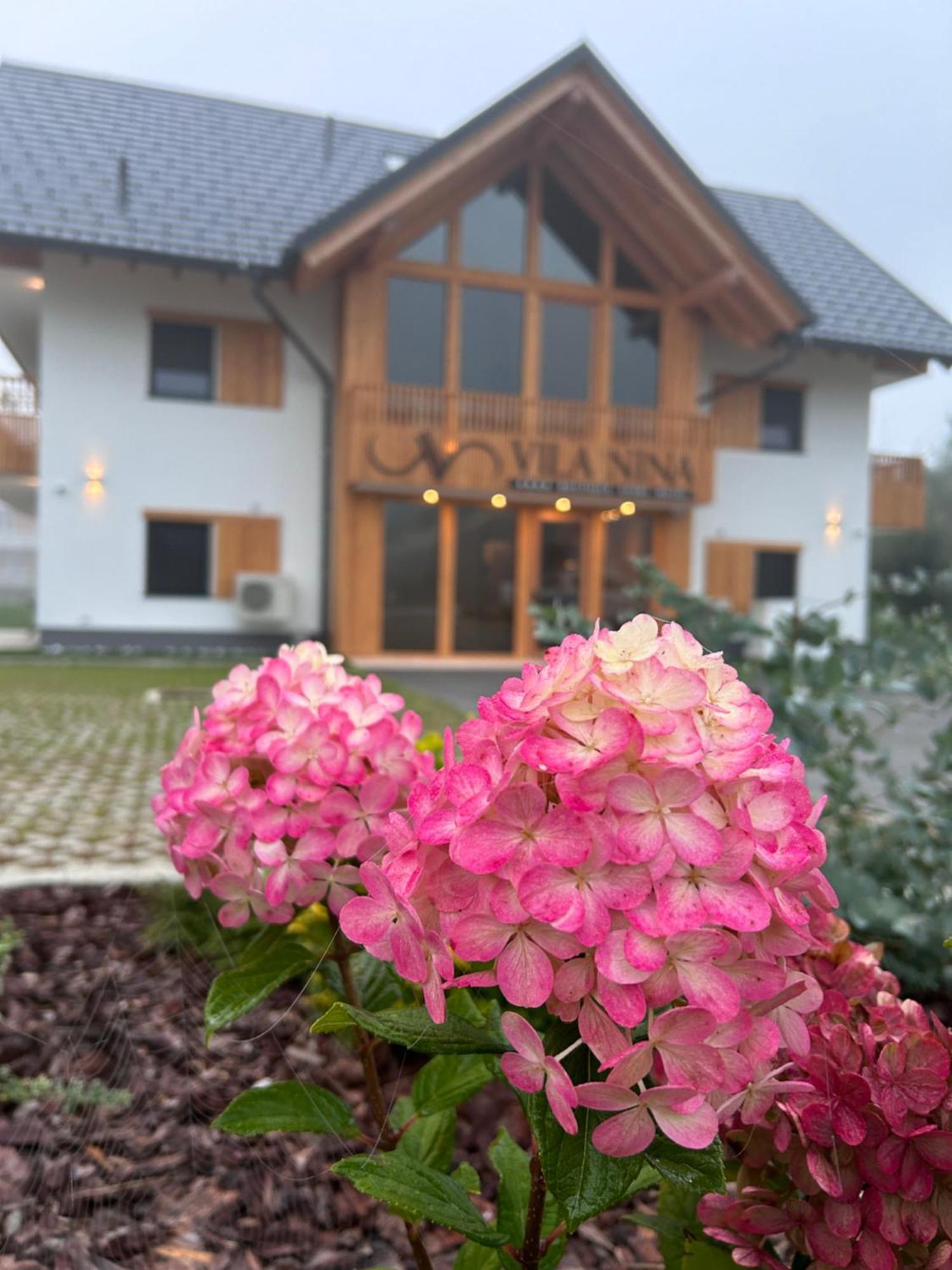 Vila Nina Bohinj Eksteriør billede